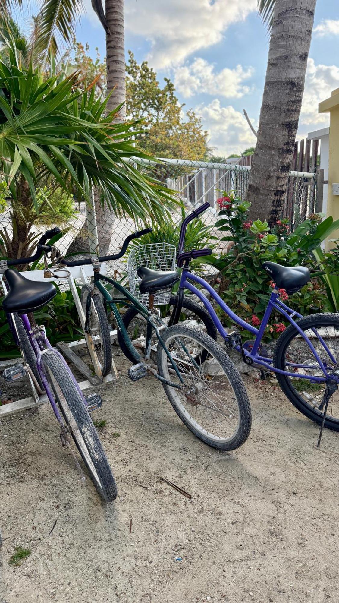 The Novelo Hotel Caye Caulker Bagian luar foto